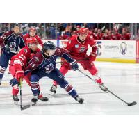 Allen Americans battle the Tulsa Oilers for the puck