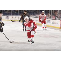 Grand Rapids Griffins right wing Michael Brandsegg-Nygård