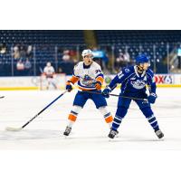 Syracuse Crunch forward Mitchell Chaffee (right) vs. the Bridgeport Islanders