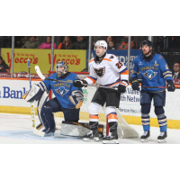 Springfield Thunderbirds goaltender Vadim Zherenko vs. the Lehigh Valley Phantoms