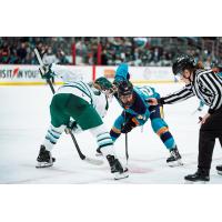 New York Sirens face off with the Boston Fleet