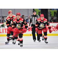 Grand Rapids Griffins right wing Dominik Shine leads the charge