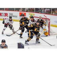 Wheeling Nailers defend against the Adirondack Thunder