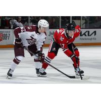 Peterborough Petes left wing Leon Kolarik (left) vs. the Niagara IceDogs