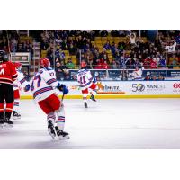 Kitchener Rangers right wing Cameron Arquette faces the crowd after his goal