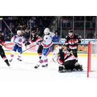 Rochester Americans' Tyler Kopff battles Belleville Senators' Oskar Pettersson and Hunter Shepard
