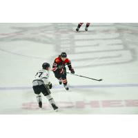 Idaho Steelheads' Aidan Hreschuk and Rapid City Rush's Ryan Wagner in action