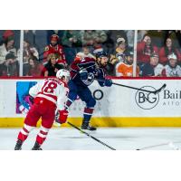 Allen Americans' Harrison Blaisdell and Tulsa Oilers' Mike McKee on the ice