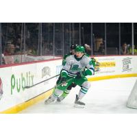 Florida Everblades forward Anthony Romano