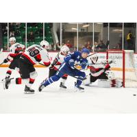 Belleville Senators goaltender Hunter Shepard vs. the Toronto Marlies