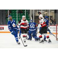 Belleville Senators centre Landen Hookey reacts after a goal vs. the Toronto Marlies