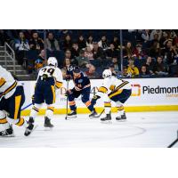 Greenville Swamp Rabbits forward Jack Brackett vs. the Atlanta Gladiators