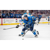 Springfield Thunderbirds right wing Matt Luff