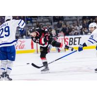 Belleville Senators defenceman Lassi Thomson