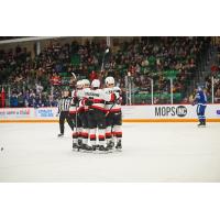 Belleville Senators celebration