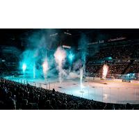 Grand Rapids Griffins New Year's Eve Celebration