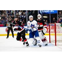Belleville Senators goaltender Hunter Shepard vs. the Toronto Marlies