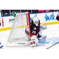 Belleville Senators goaltender Hunter Shepard vs. the Toronto Marlies