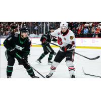 Texas Stars' Tristan Bertucci and Rockford IceHogs' Martin Misiak