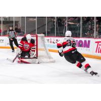 Belleville Senators right wing Oskar Pettersson takes a shot