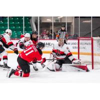 Belleville Senators goaltender Mads Søgaard makes a stop