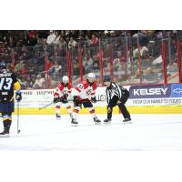 Forward Owen Cole with the Cincinnati Cyclones