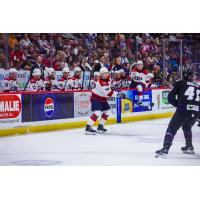 South Carolina Stingrays defenseman Connor Moore