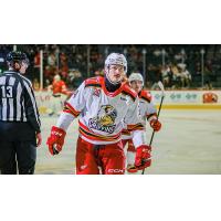Grand Rapids Griffins forward Eduards Tralmaks