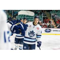 Penticton Vees exchange high fives along the bench
