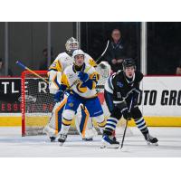 Wenatchee Wild forward Blake Vanek