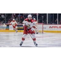 Grand Rapids Griffins defenseman Shai Buium