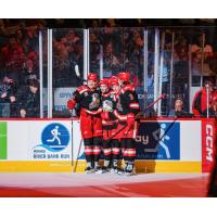 Grand Rapids Griffins gather after a goal