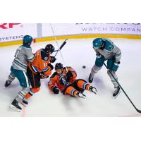San Jose Barracuda battle the San Diego Gulls
