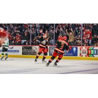 Grand Rapids Griffins react after a goal