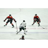 Chase Pauls (left) and Mitchell Smith of the Rapid City Rush