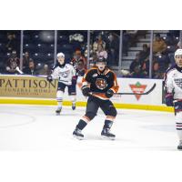 Forward Misha Volotovskii with the Medicine Hat Tigers