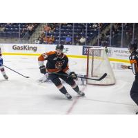 Forward Misha Volotovskii with the Medicine Hat Tigers