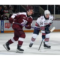 Peterborough Petes left wing Adam Novotný vs. the Oshawa Generals