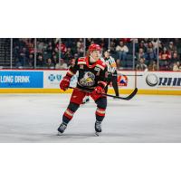 Grand Rapids Griffins center Sheldon Dries