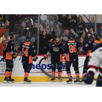 Flint Firebirds celebrate against the Saginaw Spirit