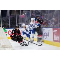 Belleville Senators centre Wyatt Bongiovanni controls the puck against the Toronto Marlies