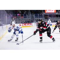 Belleville Senators defenceman Cameron Crotty (right) vs. the Toronto Marlies