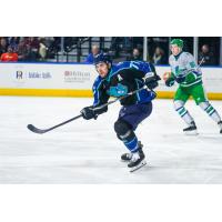Worcester IceCats' Drew Callin in action