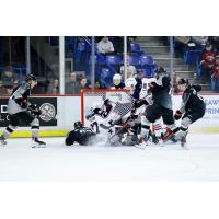 Vancouver Giants battle the Tri-City Americans