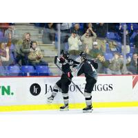 Vancouver Giants celebrate with the crowd