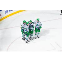 Florida Everblades huddle