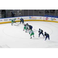 Florida Everblades battle the Worcester Railers