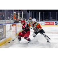 Allen Americans right wing Timofey Spitserov (left) vs. the Wichita Thunder