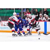 Belleville Senators right wing Oskar Pettersson (left) and centre Landen Hookey vs. the Rochester Americans