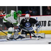 Wenatchee Wild goaltender Tobias Tvrznik